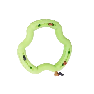 Jouet chien TPR anneau Green Apple 21cm